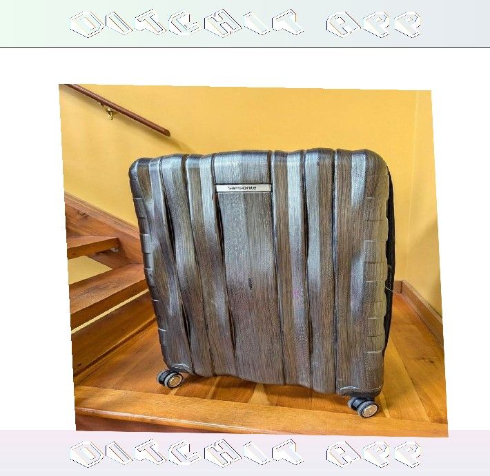 Travel Tough Luggage Checked Bags Built for Adventure professional movie