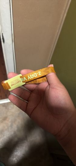 VIP DayTrip Ticket