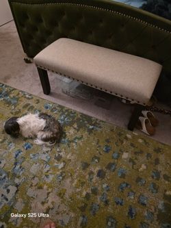Bench