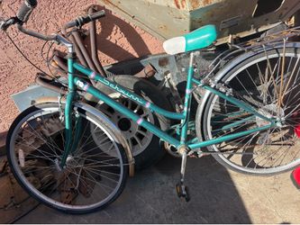 I Have  this two bicycles girls ladies working n ready to ride