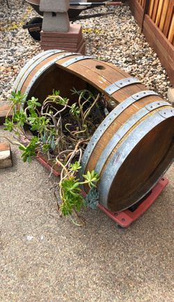 Barrel with succulents