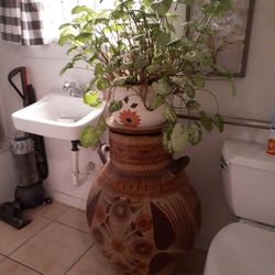 Big Base In The Plant