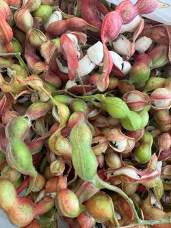 Guamuchiles super dulces  10 la Libra