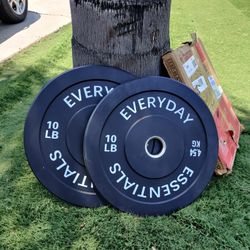 Everyday Essentials Plate Weight 10 LB Pair