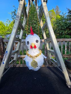 Pinata: senor pollo