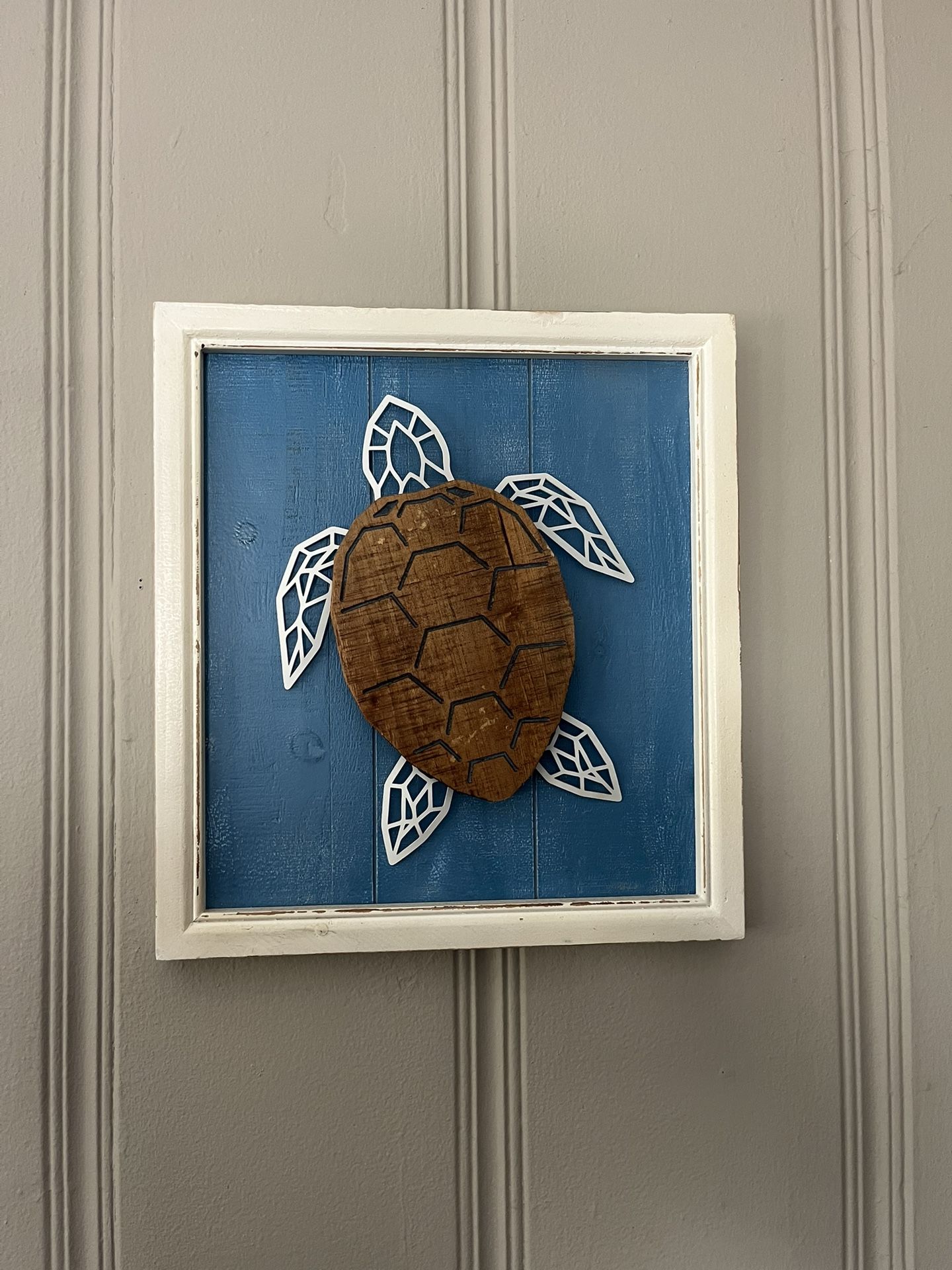 Turtle Picture