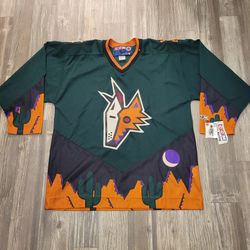Arizona Coyotes Game Used NHL Jerseys for sale
