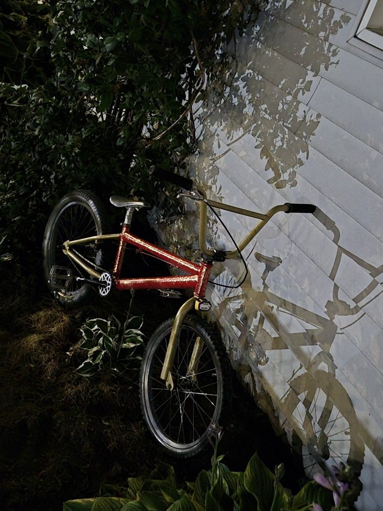 BMX Bike Custom Paint
