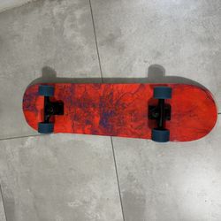 Cruiser Skateboard 