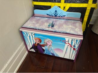 Frozen toy box storage