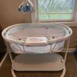 Baby Swing & Bassinet 
