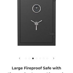 Large Fireproof Safe with Fingerprint Sensor, Biometric Home Safe, 2.12 Cubic Feet, RPNB RPFS66