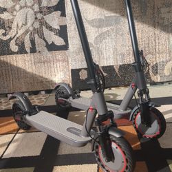 Electric Scooters for Sale - Maxshot V1 S Pro (2 Available)
