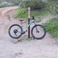 Trek Roscoe 7 