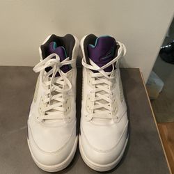 Jordan Grape 5s