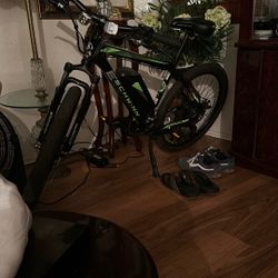 E Schwinn. Electric Bike    Side Winder
