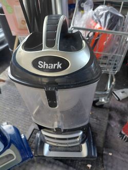Shark