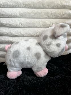 BAB Pig