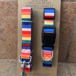 dog Leash And Collar 