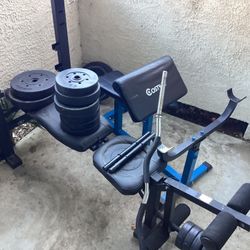 Bench Press/ Arm Curl/ Leg Curl Bench 