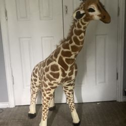 3-4ft Giraffe 