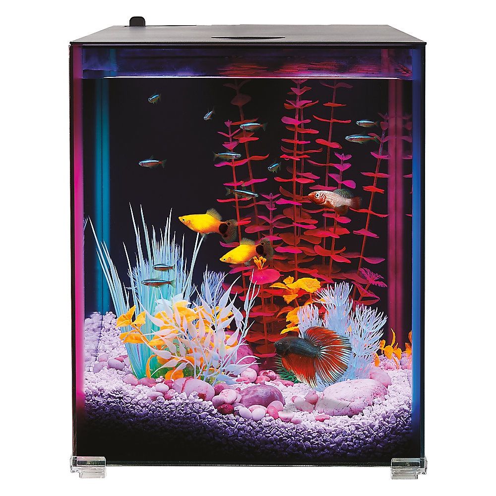8 Gallon Tank