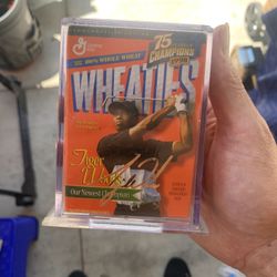 Tiger Woods Mini Wheaties Box