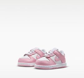 Nike toddler dunks