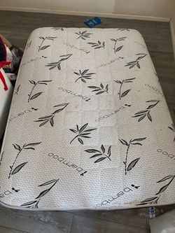 Free twin size mattress