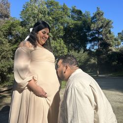 Plus Size Maternity Dress 