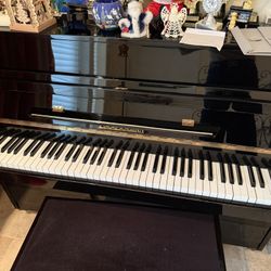 Zimmerman Solid piano 