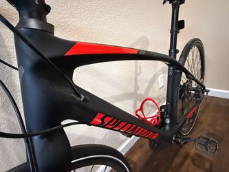Carbon bike