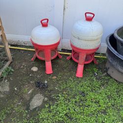 Chicken/duck Supplies 