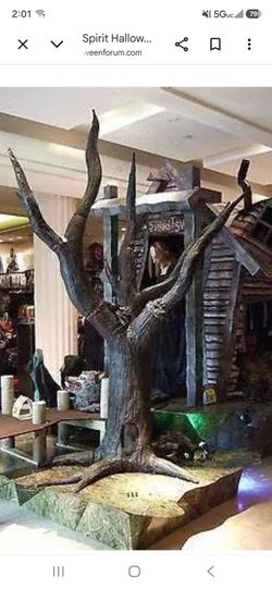 Swamp tree