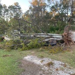 Hurricane Helene Tree Work