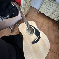 Guitar