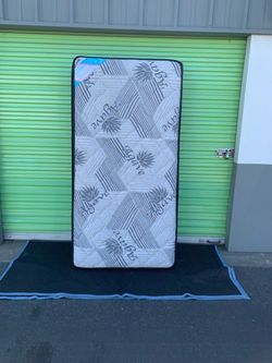 Twin Mattress (ONLY)