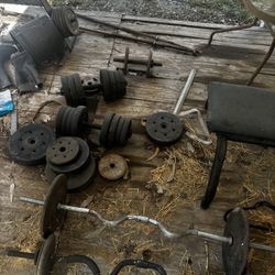 Weights 