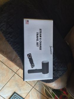 Travel steamer