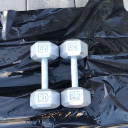 20LB Dumbbell Set