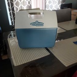PLAYMATE COOLER
