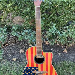 Jay Turser Flag Guitar  