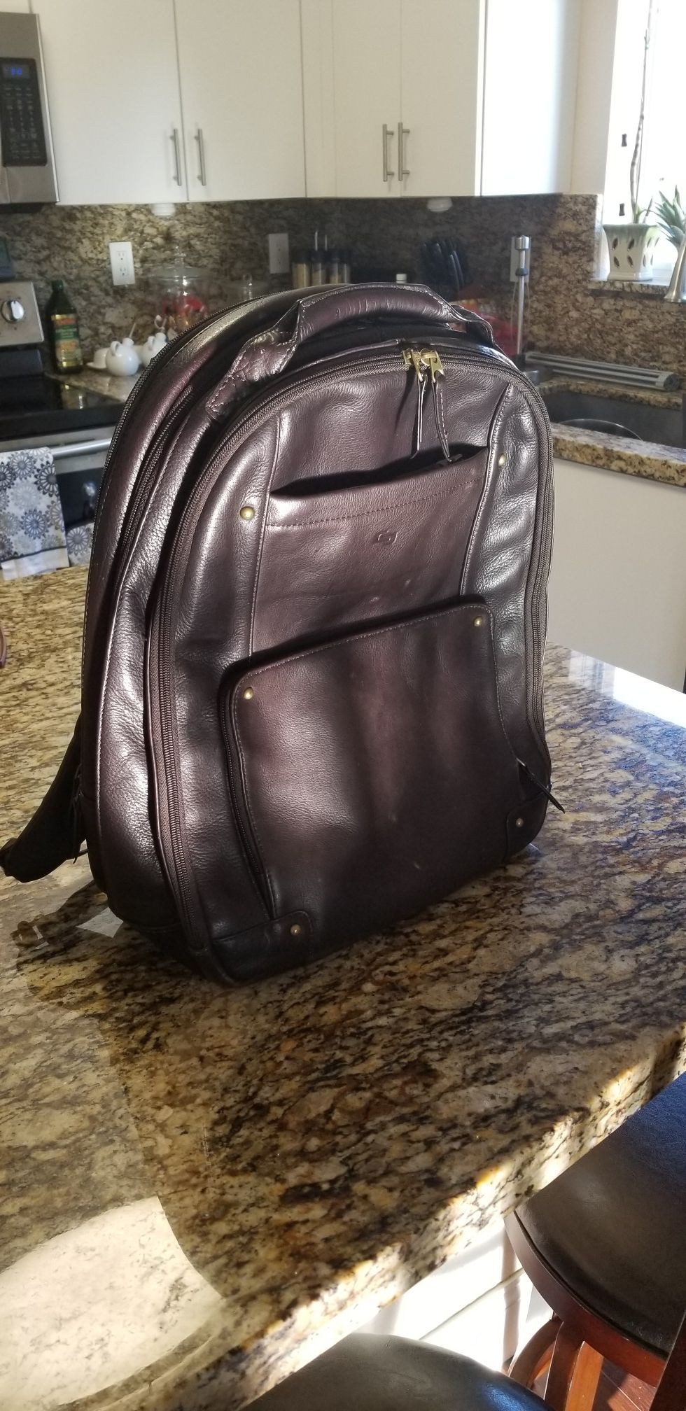 Leather Solo laptop/travel backpack