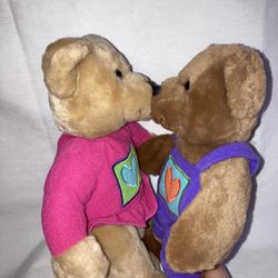 Hallmark Kiss Kiss Magnetic Boyfriend/Girlfriend Bears