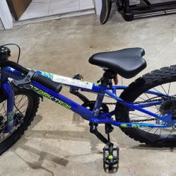 Ozark Children's Bike