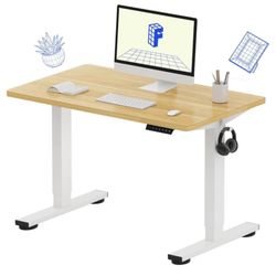 Standing Electric Desk 39”
