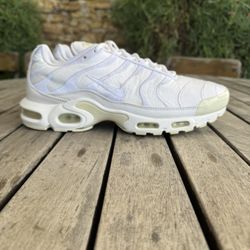 2018 Nike Air Max Plus TN