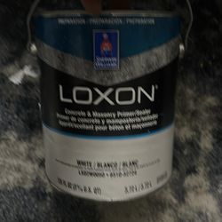 Sherwin-Williams loxon paint