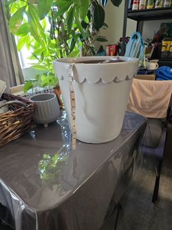 Terracotta Glazed Planter