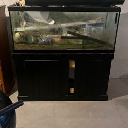 75 Gallon Fish Tank